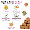 Doggie Dailies Probiotics for Dogs - Advanced Dog Probiotics with