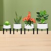 DDPow Three Legs Adjustable Metal Plant Stand for 5"-10" Plant