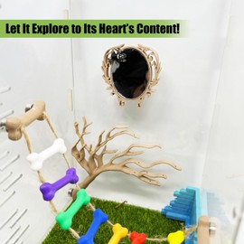 Daerky Jumping Spider Mirror, Small Animal Self-Observation Mirror, Jumping Spider Climbing Fence Accessories, Jumping Spider Training Decoration, Small Animal Habitat Decoration (Wood Color, Oval)