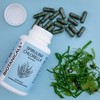 Biotanicals - Spirulina & Chlorella Capsules (Pack of 120) -