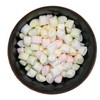 Pastel Party Mints - 1 lb of Fresh Colorful Delicious
