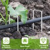 WeedGuard Garden Decorative Stakes – Heavy Duty Galvanized Build, Outdoor