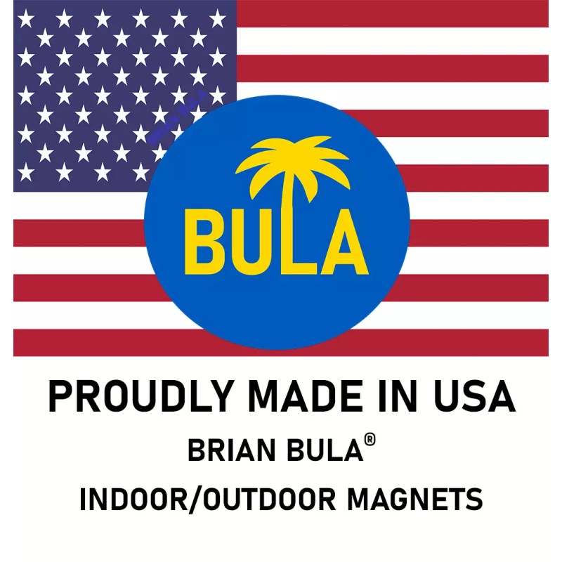Brian Bula Anti Hamas Israel Flag Magnet Large 3x9 Bumper
