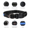 ZAPRIX LED Dog Collar - Bright Premium Weatherproof Light Up