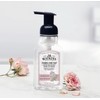 J.R. Watkins Foaming Hand Soap with Pump Dispenser, Moisturizing Foam