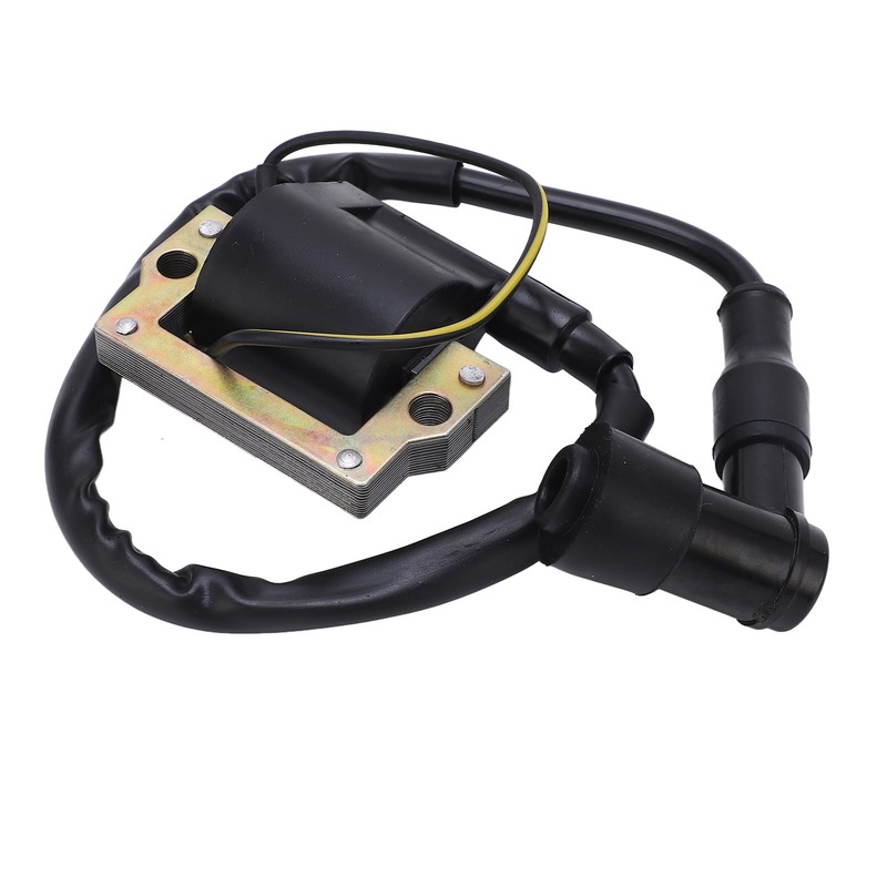 1 Pair Ignition Coil Low Emissions and Fuel Consumption Heat