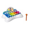 Chicco Flashy the Xylophone for Children with Lights, Sounds and