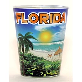 Florida Blue Beach Skyline Shot Glass