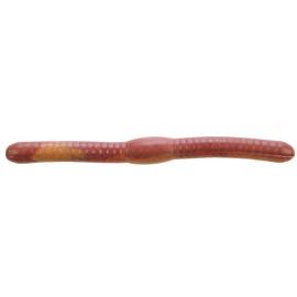Berkley Gulp! Fat Floating Trout Worm , Night Crawler, 2"