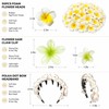 Hair Accessories Set - Plumeria Hair Clip - Leaf Clip