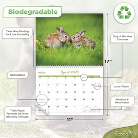 EcoEarth Biodegradable 11x17 Inch (Open) 12-Month Vertical Hanging Wall Calendar, Jan 2025 - Dec 2025 Monthly Calendar, Baby Animals