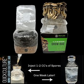 Myco Labs All-in-One Mushroom Grow Bag (4 lbs) for Manure Loving Mushrooms + Spore Germination Jar!