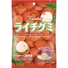 KASUGAI Fruit Gum Lychee Flavour - 1 x 102 g