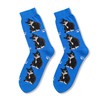 sockfun Novelty Cat Socks Crazy Silly Fun Socks for Men