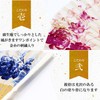 Osaka Choseido Folding Fan, Women's, Stylish, Business, Folding Bag, Handkerchief