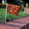 Set 6 5.5"x8.2" Mini Flag on Stick, Thanksgiving Pumpkins Fruit