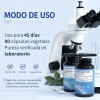 Magnesio Triple Quelado Alta Abs Non Gmo Caps Veganas