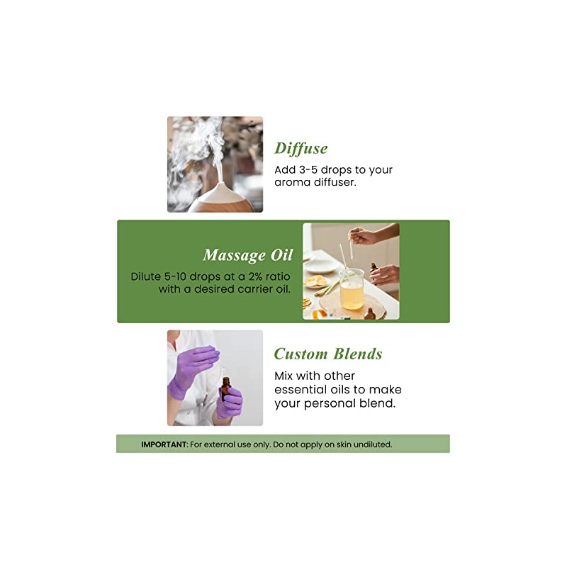 Handcraft Blends Handcraft Rosemary Essential Oil - Huge 4 OZ