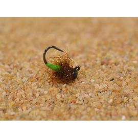 6 Flies - Tungsten Jigged Caddis Jig Head Fly - Euro Nymph - Hanak Hook (Hook #14)