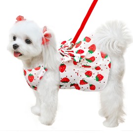 ABRRLO Cute Dog Dress Small Dog Clothes for Girls Female Puppy Outfits Red Strawberry Pet Summer Clothes Bowknot Doggy Cat Princess Dresses Harness for Holiday Birthday Party Costume Clothing (Red,M)