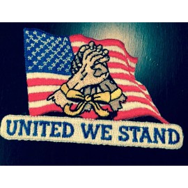UNITED WE STAND AMERICA FLAG CUSTOM EMBROIDERED PATRIOTIC PATCH