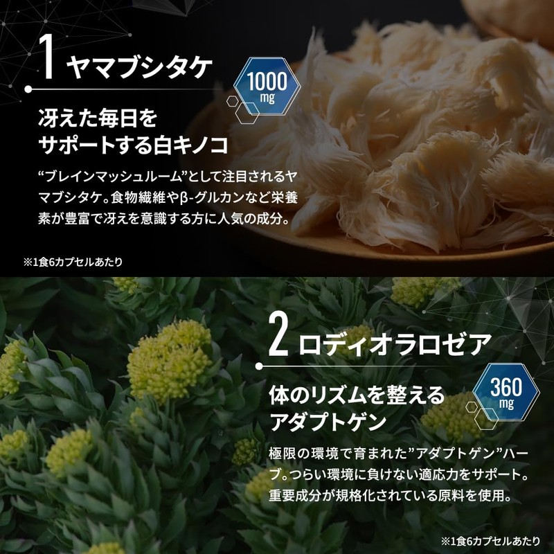 HALEO Adaptogen Genius Concentrated Adaptation, Energy Support, Rodiola, Yamabushitake Ginseng