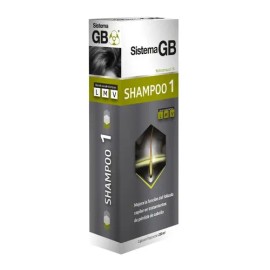 Shampoo 1 Sistema Gb Anticaída Y Anticaspa Hombre 230 Ml