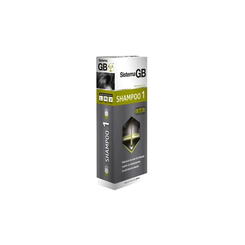 Shampoo 1 Sistema Gb Anticaída Y Anticaspa Hombre 230 Ml