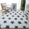 Washable Fluffy Rug, 60x120CM Extra Thick 3.0 cm Rectangular Rug