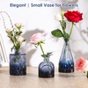 PURVONNIE Small Vases for Flowers Set of 10, Small Vases