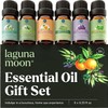 Essential Oils Set - Top 6 Blends for Diffusers, Home Care, Candle Making Scents, Fragrance, Aromatherapy, Humidifiers, Gifts - Peppermint, Tea Tree, Lavender, Eucalyptus, Lemongrass, Orange (10mL)