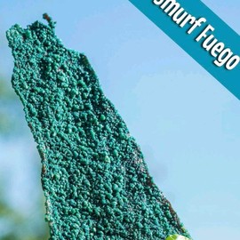 Smurf Fuego Dehydrated Beef Jerky Snack - Specification: 3oz