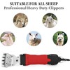 DUCKBOY Sheep Clippers Blades, Detachable and Replaceable Blades Professional Stainless