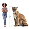 Cougar - Life Size Cardboard Cutout Standup People with Support