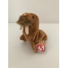 Ty ORIGINAL BEANIE BABY - "PAUL THE WALRUS" - MWMT/s