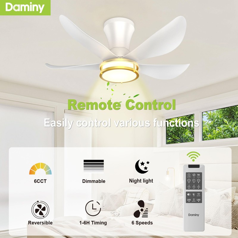 DAMINY 30 Inch White and Gold 5 Blade Ceiling Fan