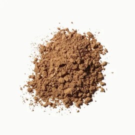 Hongo Adaptógeno Reishi Commons Polvo 100% Orgánico
