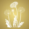 Stencils for Walls: Dandelion Stencil, 8 x 10 inch -