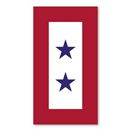 Blue Star Service Flag (2 Star) Magnet by Magnet America Is 5.5" x 3" Made for Vehicles and Refrigerators
