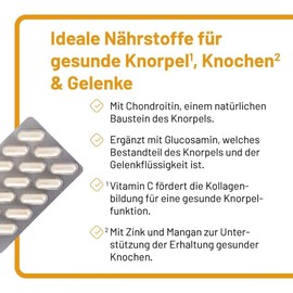 Vitazell Arthro Capsules Pack of 15