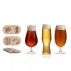 Crystalite Bohemia Artisan Beer Craft Assorted Beer Glasses Tasting Set