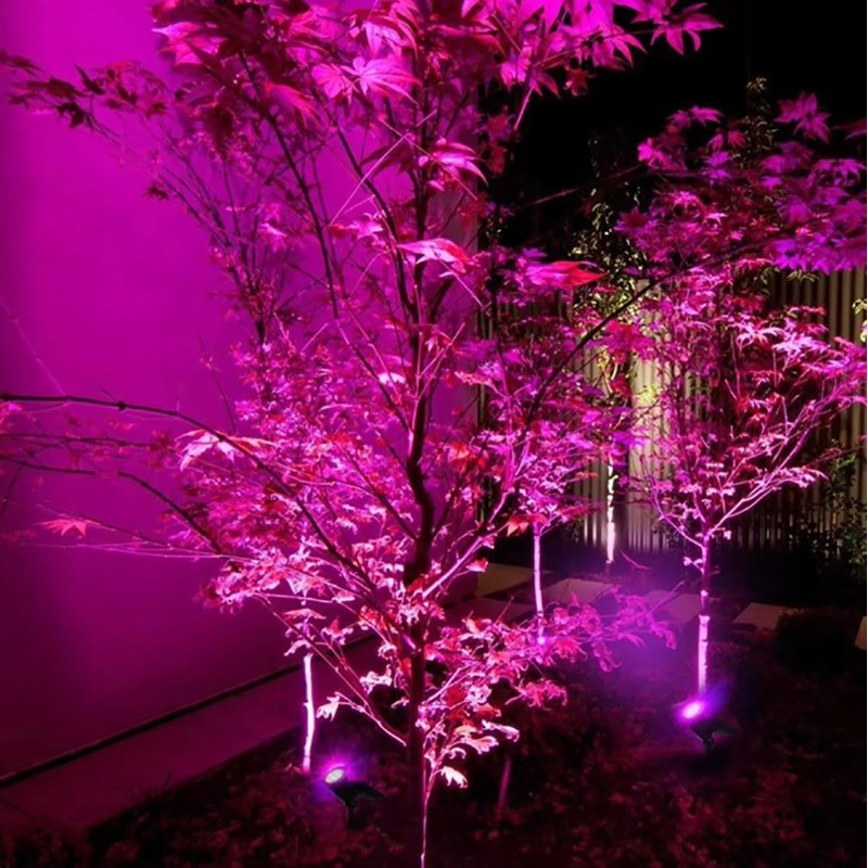 RBFVZCCB Waterproof Solar Power Lamp Light for Outdoor Plant