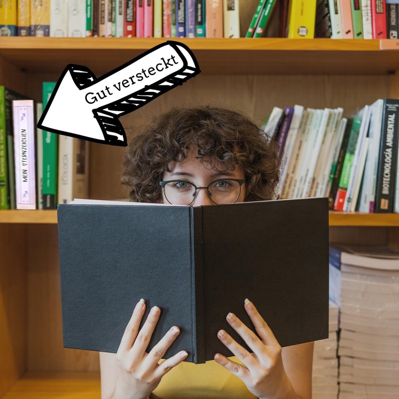 Mein Sternzeichen Booksafe L - Schütze Astrologie-Geschenk, Buchversteck für Schützen,