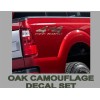 Ford 4x4 OFFROAD Truck Decals, OAK TREE CAMOUFLAGE Set for
