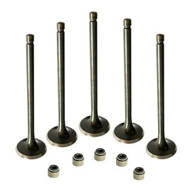 Engine Intake and Exhaust Valve Kit With seal for Yamaha Raptor 660R 2001~2005,Yamaha Grizzly 660 2002-2008,RHINO 660 2004-2007,HiSun Bennche Massimo MSU UTV700 750