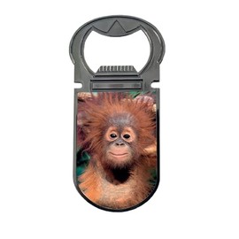 3D LiveLife Bottle Openers - Baby Orangutan from Deluxebase. Monkey Magnetic Drink Opener with Lenticular 3D Image. Fridge Magnet Gifts for Kitchen and Bar Accessories.
