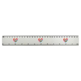 'Paw Print Love Heart' 30cm (12 Inch) White Plastic Ruler (RL00087560)