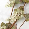 Unbranded Set of 2 Light Green Artificial Grape Cluster 32"