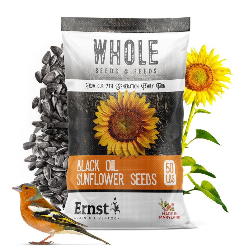 Ernst Grain & Livestock Black Oil Sunflower Seeds - Birdseed