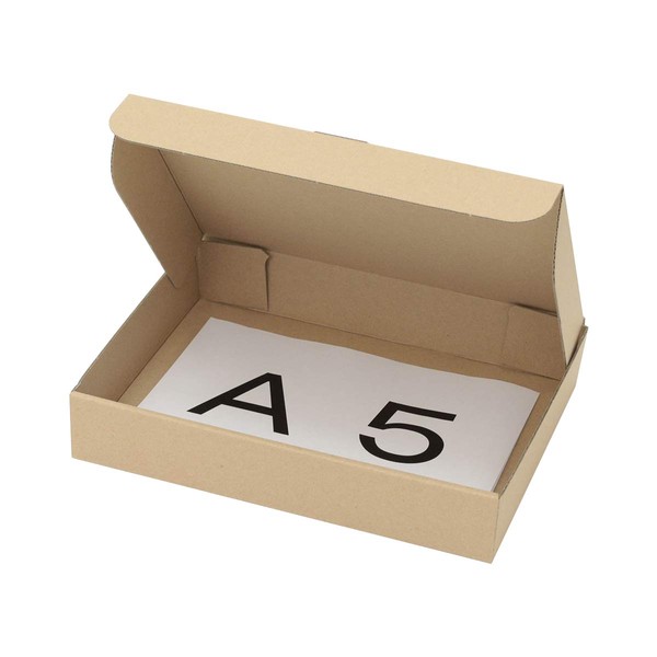 Earth Cardboard, 60 Size, Small, Set of 40, A5, Depth 16.5 inches (42 cm), Cardboard, Thin, Gift, Packaging ID0286